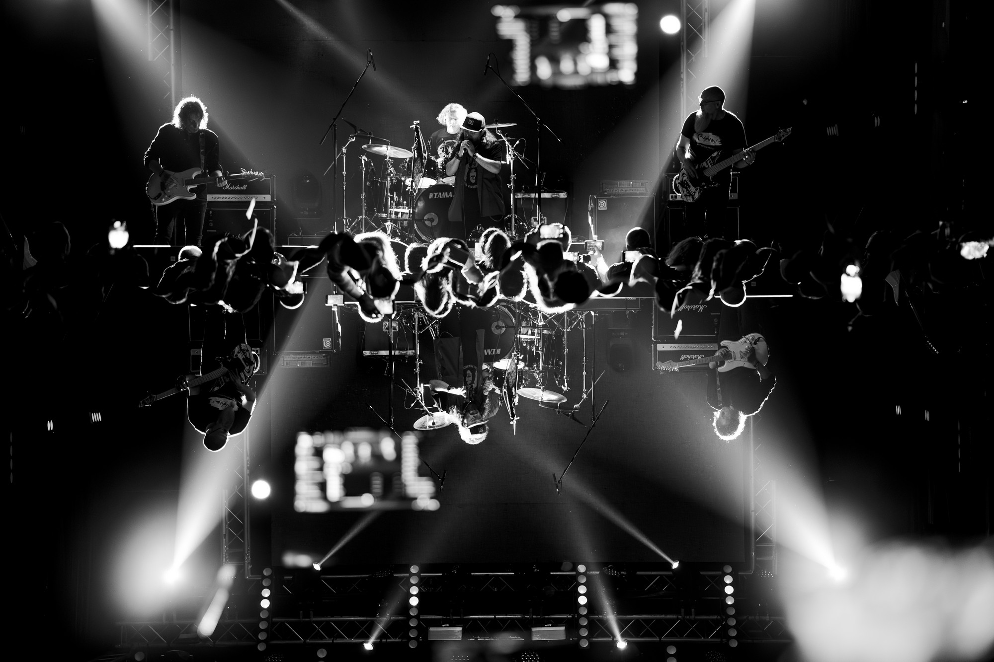 Survo - concert photography